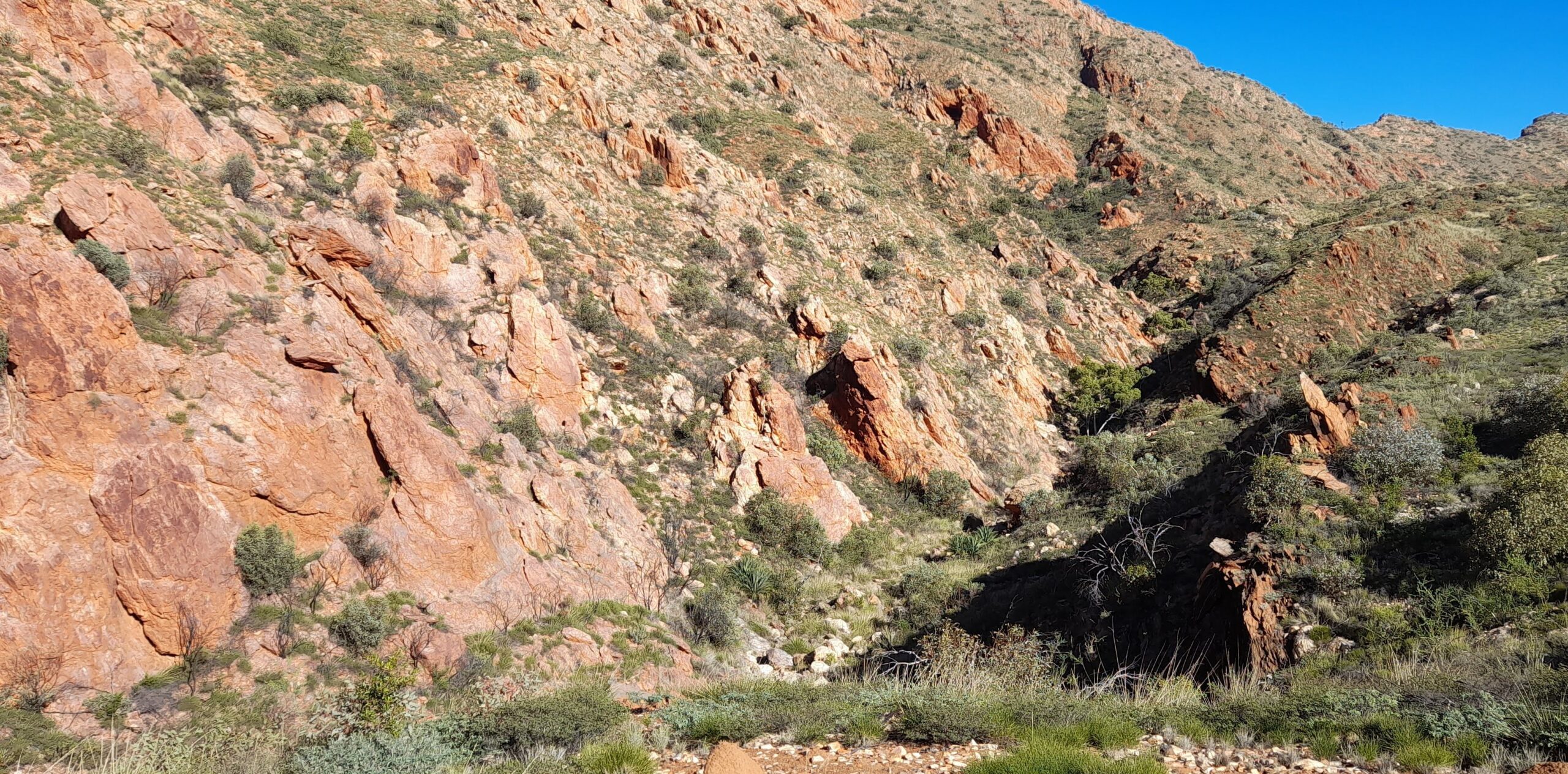 Running in Alice Springs, Australia