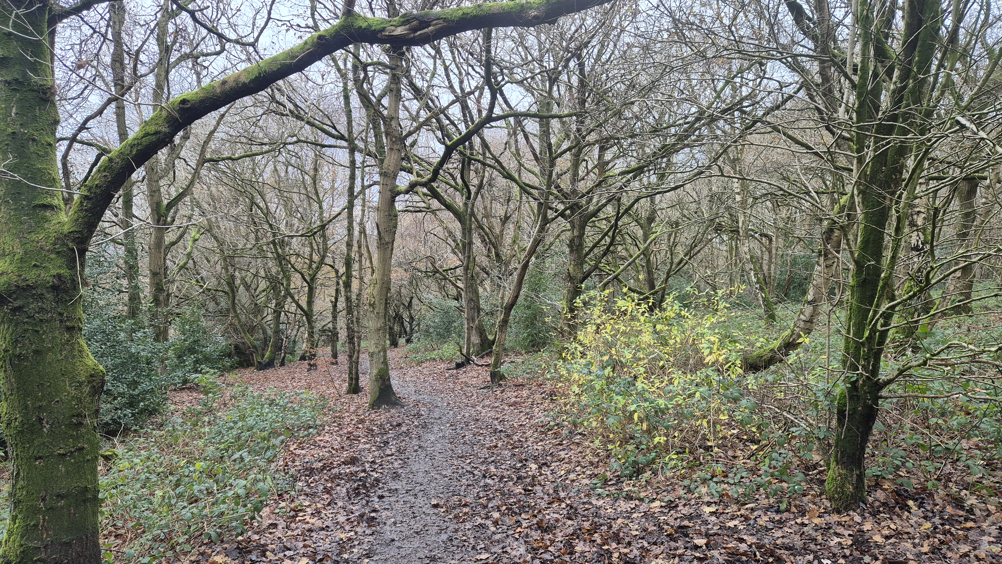 Trail routes near Leeds.